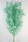 RUSCUS PRES VERDE AQUA