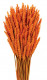 TRIGO FLO NARANJA