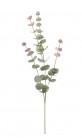 EUCALYPTUS 60CM VERDE/ROJO