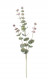 EUCALYPTUS 60CM VERDE/ROJO