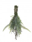 EPICES 45 CM VERD