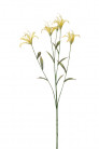 NERINE AMARILLO