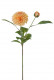 DAHLIA 60CM SALMON