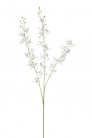 CYMBIDIUM MINI X3 85CM BLANCO