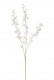 CYMBIDIUM MINI X3 85CM BLANCO