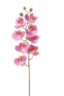 PHALAENOPSIS 75CM ROSA