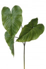 ANTHURIUM FEUILLE X 3