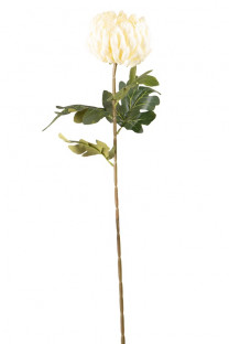 CHRYSANTHÈME 75CM CRÈME