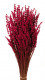 LAVANDA FUCSIA PRES 150 G.