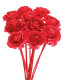CEDAR ROSE FUCSIA