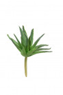 AGAVE 9CM VERT