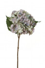 HORTENSIA 45CM BLEU/VERT