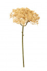SEDUM 28CM BEIGE