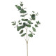 EUCALIPTUS 90CM VERT