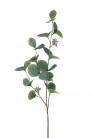 EUCALIPTUS 75CM VERT