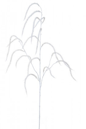 AMARANTHUS 120CM BLANCO
