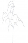 AMARANTHUS 120CM BLANCO
