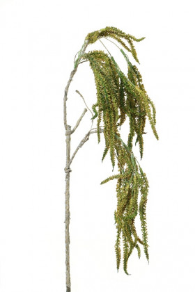 AMARANTHUS 45CM VERD