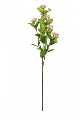 SPIREA 70CM ROSE
