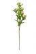SPIREA 70CM ROSE