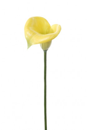 AROME 60 CM