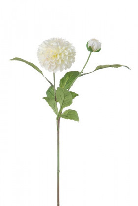 DAHLIA 60CM CREME