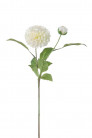 DAHLIA 60CM CREME