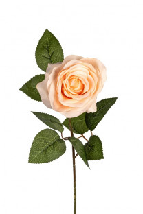 ROSE 66CM SAUMON