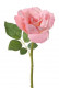 ROOS 32 CM ROSE