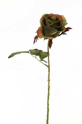 ROSE 52CM VERT