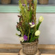 CENTRO ARTIFICIAL RANUNCULUS AVENA