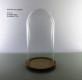 CRISTAL CUPULA H:30CM Ø:15 CON MADERA