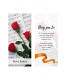 TARJETAS ST JORDI+ROSAS+PARTITURA 9,5x4CMX50UNI