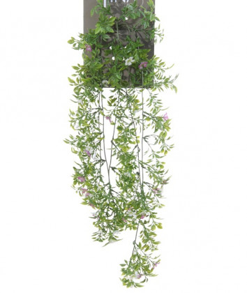 CÉRISIER CHUTE 70CM MAUVE HEADER