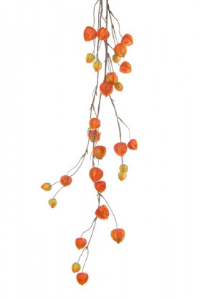 PHYSALIS GUIRNALDE 120 CM ORANGE HEADER