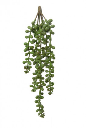 SENECIO CHUTE 34 CM VERT