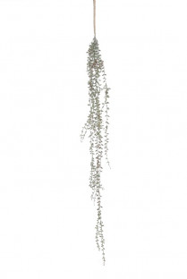 SENECIO 75CM GRIS