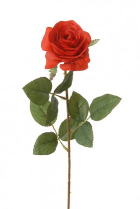 ROOS 66CM ROUGE