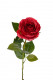 ROSA 62CM ROUGE
