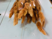 LAGURUS 60CM NARANJA