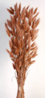 LAGURUS 60CM MARRÓN