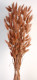 LAGURUS 60CM MARRÓN