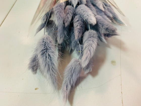 LAGURUS 60CM AZUL S.