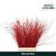 BETULA VRF 60CM X10T ROJO.