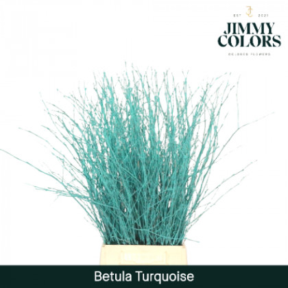 BETULA VRF 60CM X10T AZUL TURQUESA.