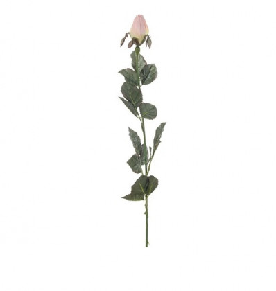 BOUTON DE ROSE