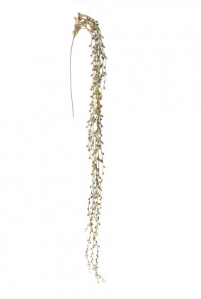 SENECIO 130CM VERT