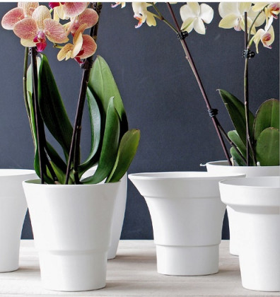 CERÁMICA QPOTS ORQUIDEE BLANCO Ø14H16