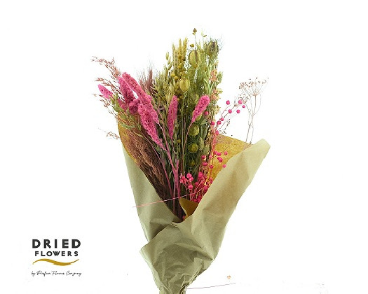 BOUQUET DRY ROSA 55CM