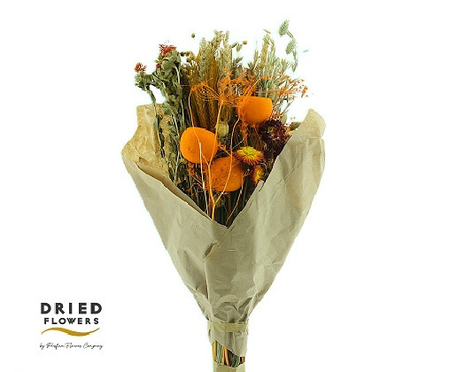 BOUQUET DRY NARANJA 55CM